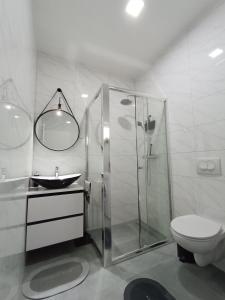 奥西耶克Tesla Point的带淋浴、卫生间和盥洗盆的浴室