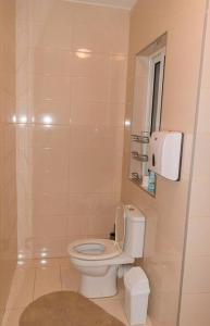 埃尔哥茨拉Central Modern Apartment 1 Bedroom的浴室设有白色的卫生间和镜子