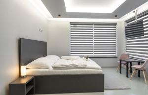 俄斯特拉发OŽA apartmány的一间卧室配有一张床、一张书桌和一个窗户。