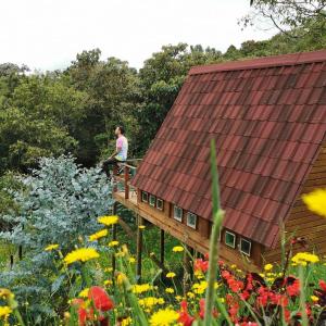 麦德林Chalets en Santa Elena en medio del Bosque的站在建筑物旁边的甲板上的人