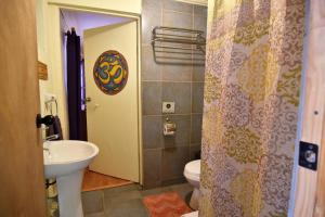 圣佩德罗·德·阿塔卡马Hostal Ayni的一间带水槽、卫生间和淋浴的浴室