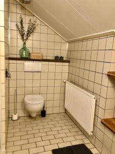哈登贝赫Cramer's Corner的白色瓷砖浴室设有卫生间和散热器