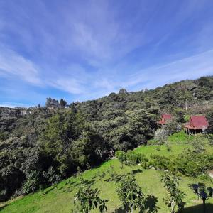 麦德林Chalets en Santa Elena en medio del Bosque的一座绿色的山丘,上面有一座房子