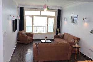 亚历山大Nour 1的客厅设有两张沙发和一个窗户