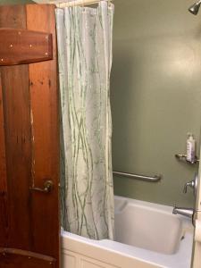莫罗贝Front Street Inn and Spa的浴室配有淋浴帘和浴缸。