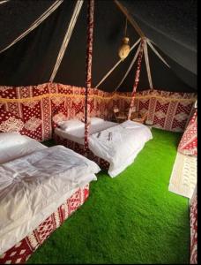 ShāhiqCrescent Desert Private Camp的一间设有两张床的客房,位于绿色的地板上