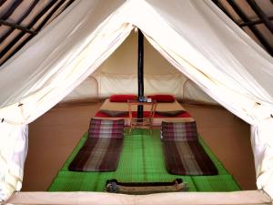 高龙撒冷岛睡眠树旅馆的帐篷内配有桌椅