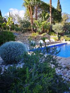 阿洛拉Finca Dariana Padel & Pool的花园设有游泳池、椅子和树木
