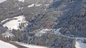 布伦纳山口格里斯Steinhof的高山上滑雪胜地的空中景色