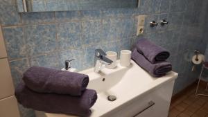 霍恩斯泰因Am Fuße zur Napoleonschanze的浴室设有水槽和紫色毛巾