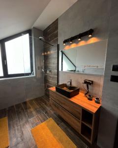 利托福卡西尼克Holiday Resort Šefec的一间带水槽和镜子的浴室