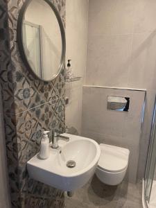 克拉科夫Friendly Apartment的一间带水槽、镜子和卫生间的浴室