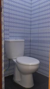SeribuTaras Homestay的浴室设有白色的卫生间和蓝色的墙壁