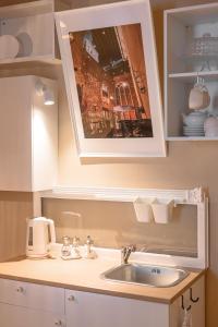 里加St.Jacobs's apartments Old Town Riga的一个带水槽的厨房台面,上面有一张画