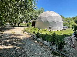 SágvárDOMEGLAMPING at FISHINGLAKE的植物田野上的大型圆顶帐篷