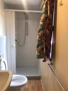 佩斯基奇Gargano Vacanza的带淋浴和浴帘的浴室