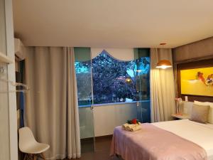 戈亚斯州上帕莱索Villa Terragona的一间卧室设有一张床和一个窗口