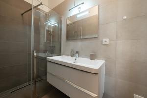 布拉格New apartments near Dancing house的一间带水槽、镜子和淋浴的浴室