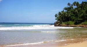 南塔拉拉塔拉拉自由度假村的棕榈树海滩和海浪海滩