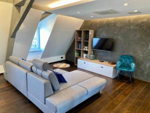 萨维尔纳La Mezzanine des Rohan Saverne的带沙发和电视的客厅