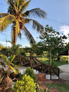 BolinaoMichaels Homestay - Farm Villa nr Patar Beach & Bolinao Falls的棕榈树前的木栅栏