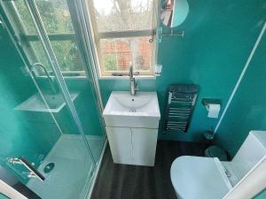 约克Alice’s Garden @ Bleak House Farm的蓝色的浴室设有水槽和淋浴