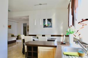 考洛乔Solemio Apartman Kalocsa的厨房以及带水槽和桌子的客厅。