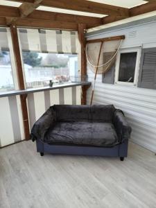 佩内斯坦Mobil-home dans camping calme的狗床坐在房子后面