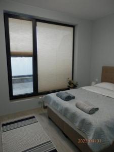 索非亚Апартамент Нова Дружба 2的一间卧室设有一张床和两个窗户。