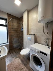 索科矿泉村Aleksandar apartman Sokobanja的一间带洗衣机和卫生间的浴室