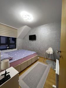 索科矿泉村Aleksandar apartman Sokobanja的一间卧室配有一张床,墙上配有电视