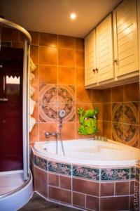 Sint-Gillis-WaasLe Petit Chalet avec hottub.的带浴缸的浴室和墙上的绿色青蛙