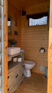 Willowdene shepherds hut的一间浴室