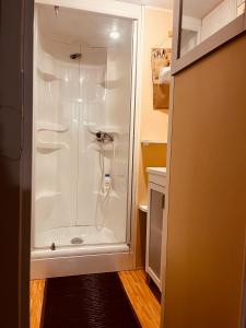 维克拉加尔迪奥勒Mobil-home COSY clim&tv-3 Chambres的带淋浴的浴室(带白色淋浴间)