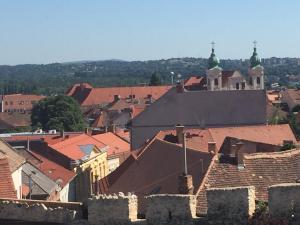佩奇Várfal Wellness Panzió的享有红色屋顶的城镇美景