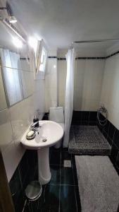 塞萨洛尼基Art house 2的浴室配有白色水槽和卫生间。