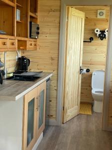 惠特比Keepers Shepherd hut with Hot Tub的一间带水槽和卫生间的厨房