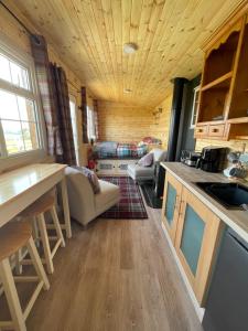 惠特比Keepers Shepherd hut with Hot Tub的一个小房子的厨房和客厅