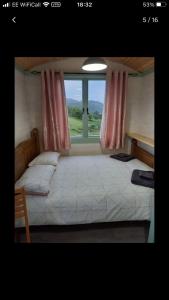 多尔盖罗Shepherds hut above mawddach estuary的一间卧室设有一张大床和窗户
