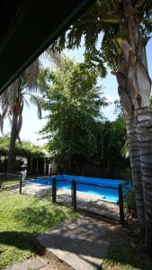 科隆La Casa de Colón的棕榈树旁游泳池周围的围栏