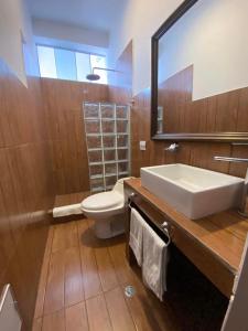 塔克纳Renace Suites的一间带水槽、卫生间和镜子的浴室