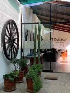 塔克纳Renace Suites的博物馆里的一个有轮子和盆栽的展览