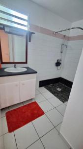 勒穆莱波特兰酒庄酒店的浴室设有水槽和带红色地毯的淋浴。