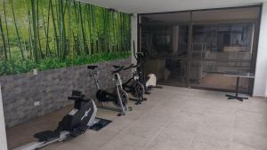 麦德林GH Gran Hotel - Downtown Medellin的健身房,有两辆自行车停放在一间房间里