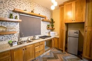 圣弗朗西斯科德马科里斯Verdana Rental Residencial Arlene II SFM的厨房配有木制橱柜、水槽和冰箱。