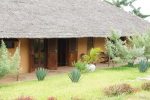 Villa Moringa Lodge的茅草屋顶和一些植物的房子