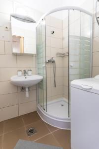布达佩斯Danube Apartment的带淋浴和盥洗盆的浴室