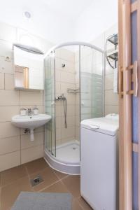 布达佩斯Danube Apartment的带淋浴、盥洗盆和卫生间的浴室