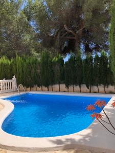 圣埃乌拉利亚Villa Casa Diego Ibiza的院子里的大型蓝色游泳池