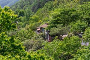 襄阳郡Dasanbang Pension的山丘中间的树木房子